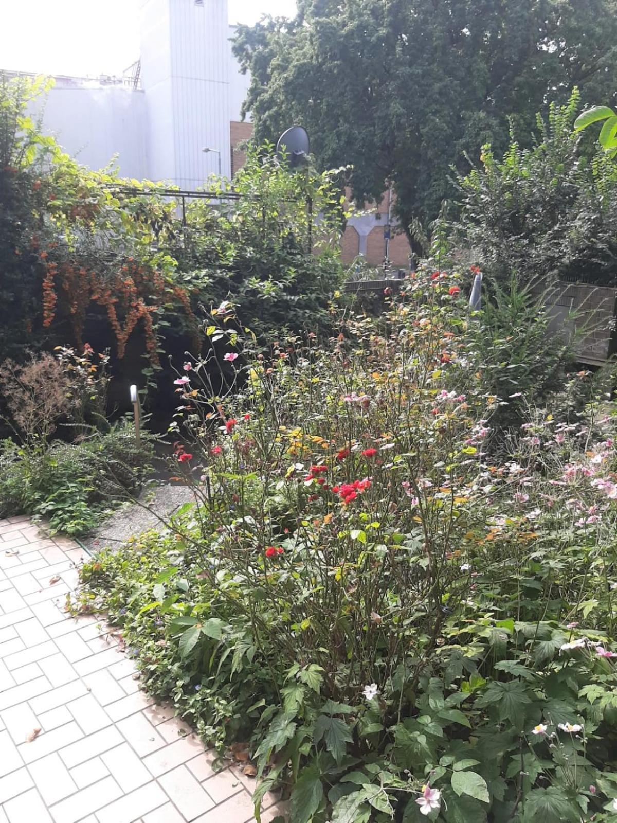Raj Living - 1 , 2 And 3 Room Monteur Apartments 뒤스부르크 객실 사진